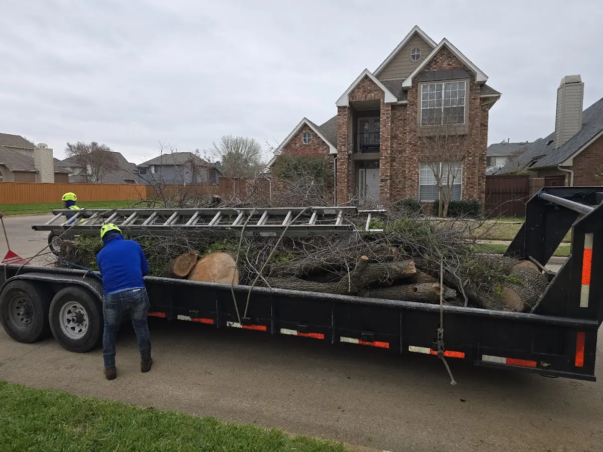 Expert Tree Removal with proper safety equipment in Fair Bluff